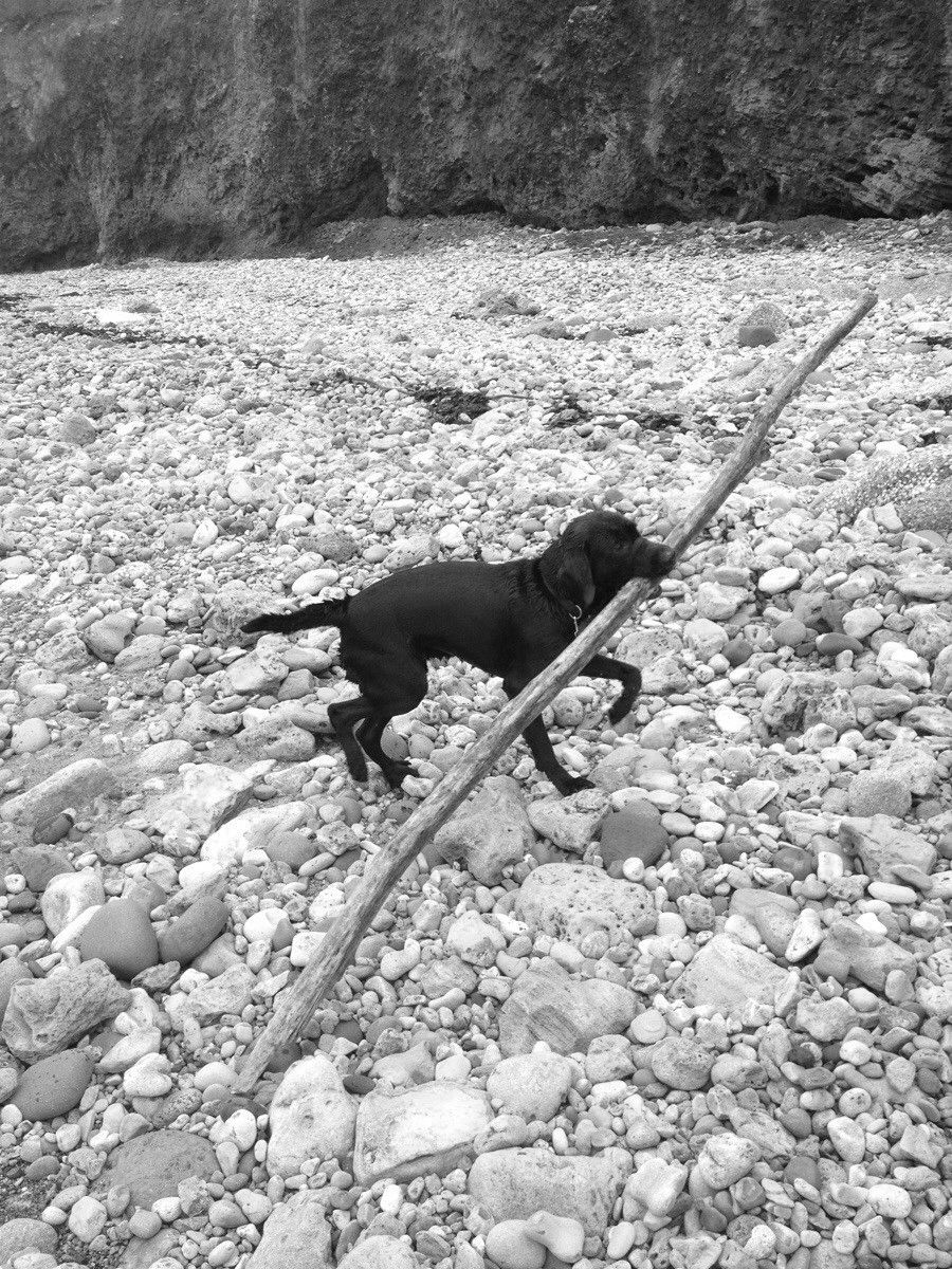 Best value in sticks