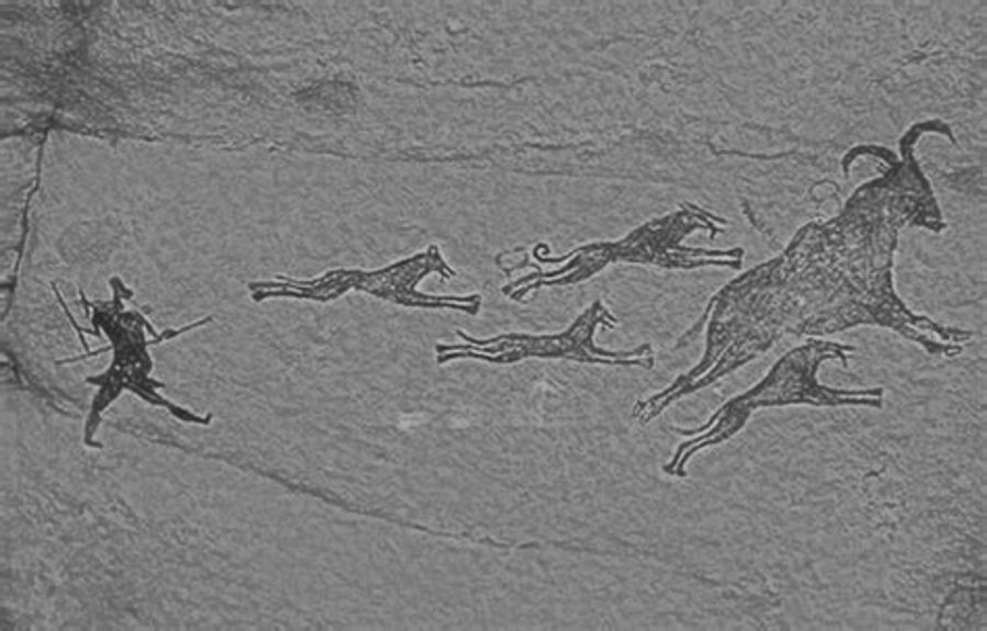 Cave art depicting hunting with dogs