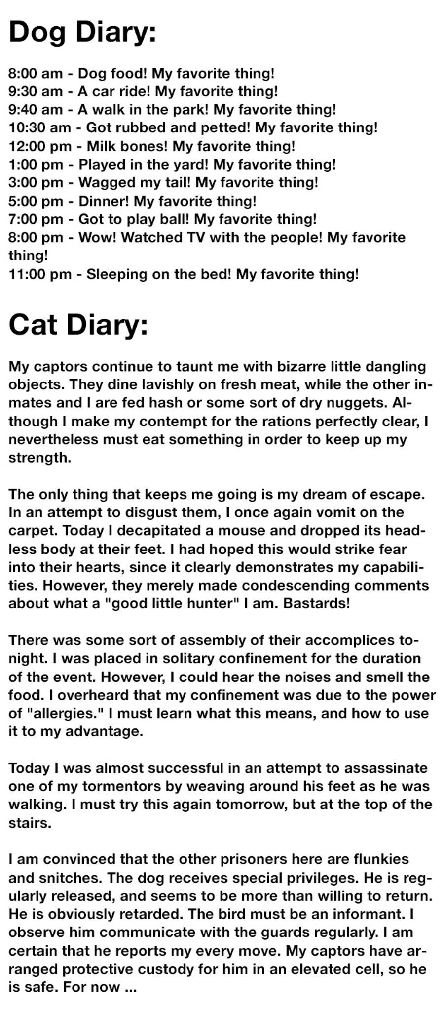 The cat of MonteCristo