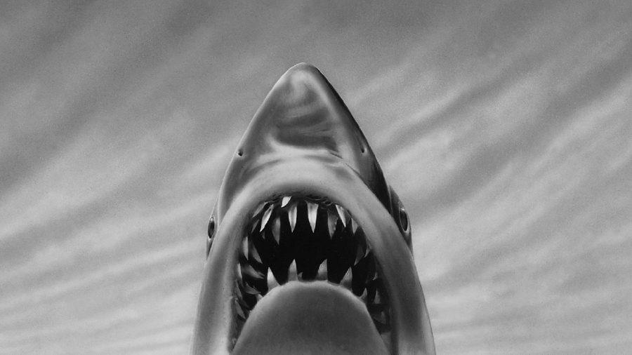 Jaws 3rd Direction