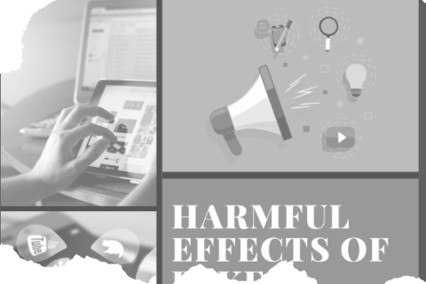 Fake social media and the harmful effects