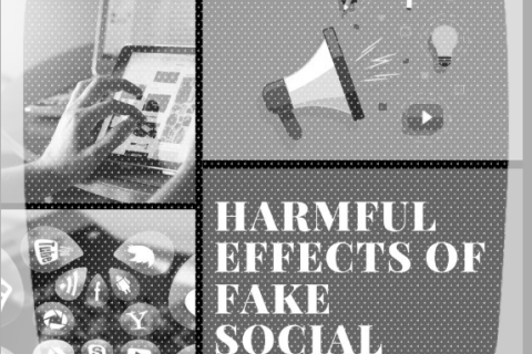 Fake social media and the harmful effects