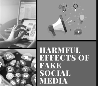 Fake social media and the harmful effects