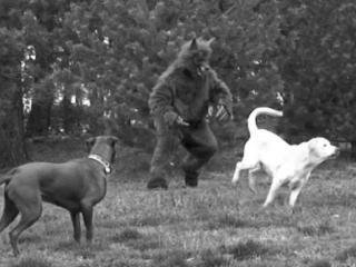 Extremely disturbing dogman footage Extremely disturbing dogman footage