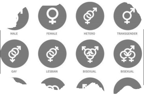 Gender chart for the 21st Century